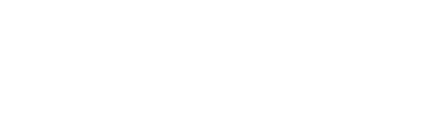 Team Falcon